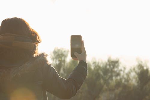 Free stock photo of 2024, desert, forest