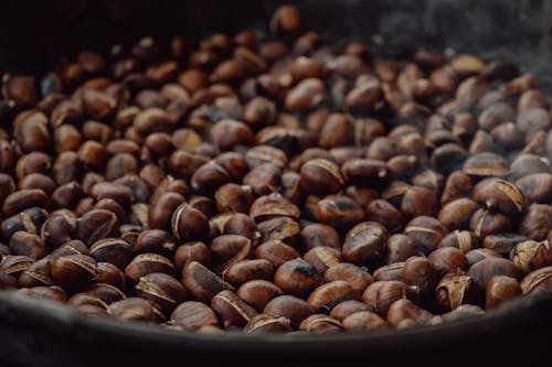 Free Batch of Roasted Coffee Beans Stock Photo