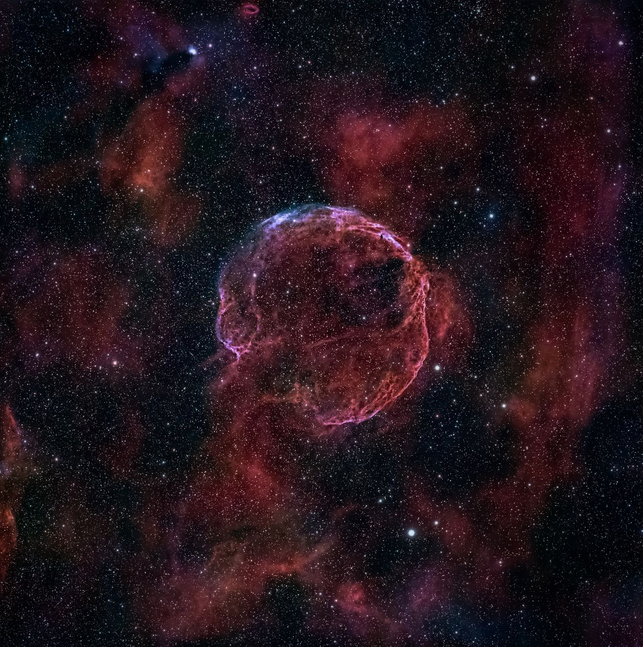 最悪の世代とは?超新星との違いをわかりやすく解説