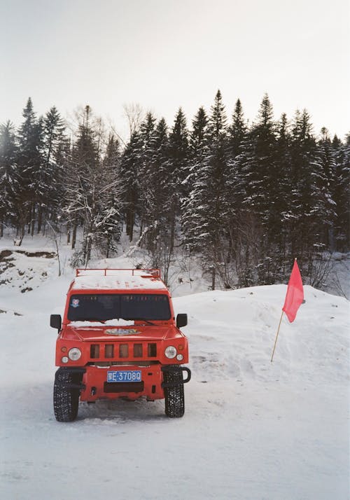 Foto d'estoc gratuïta de 4x4, arbres, bandera