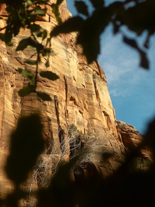 Immagine gratuita di montagna di roccia, zion national park