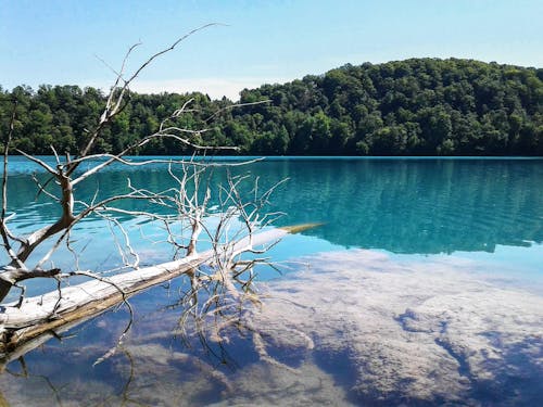 Základová fotografie zdarma na téma jezero, příroda, voda