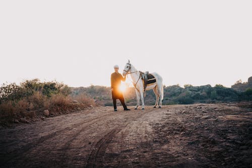 Fotobanka s bezplatnými fotkami na tému dedinský, hracie pole, kôň