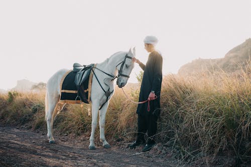 Photos gratuites de animal, campagne, chemin de terre