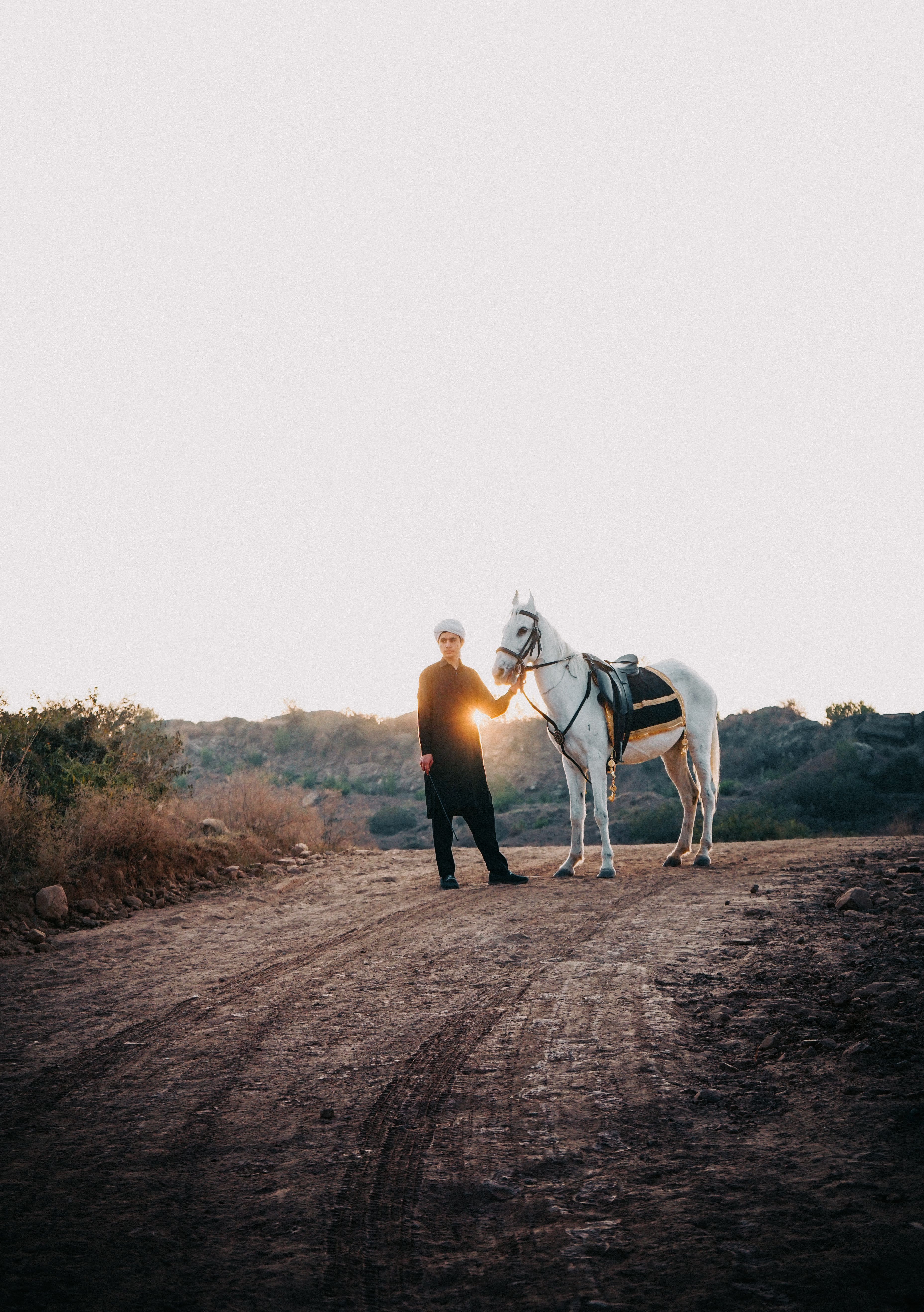 A person standing with a white horse on a rural dirt road at sunset, embracing nature's tranquility.