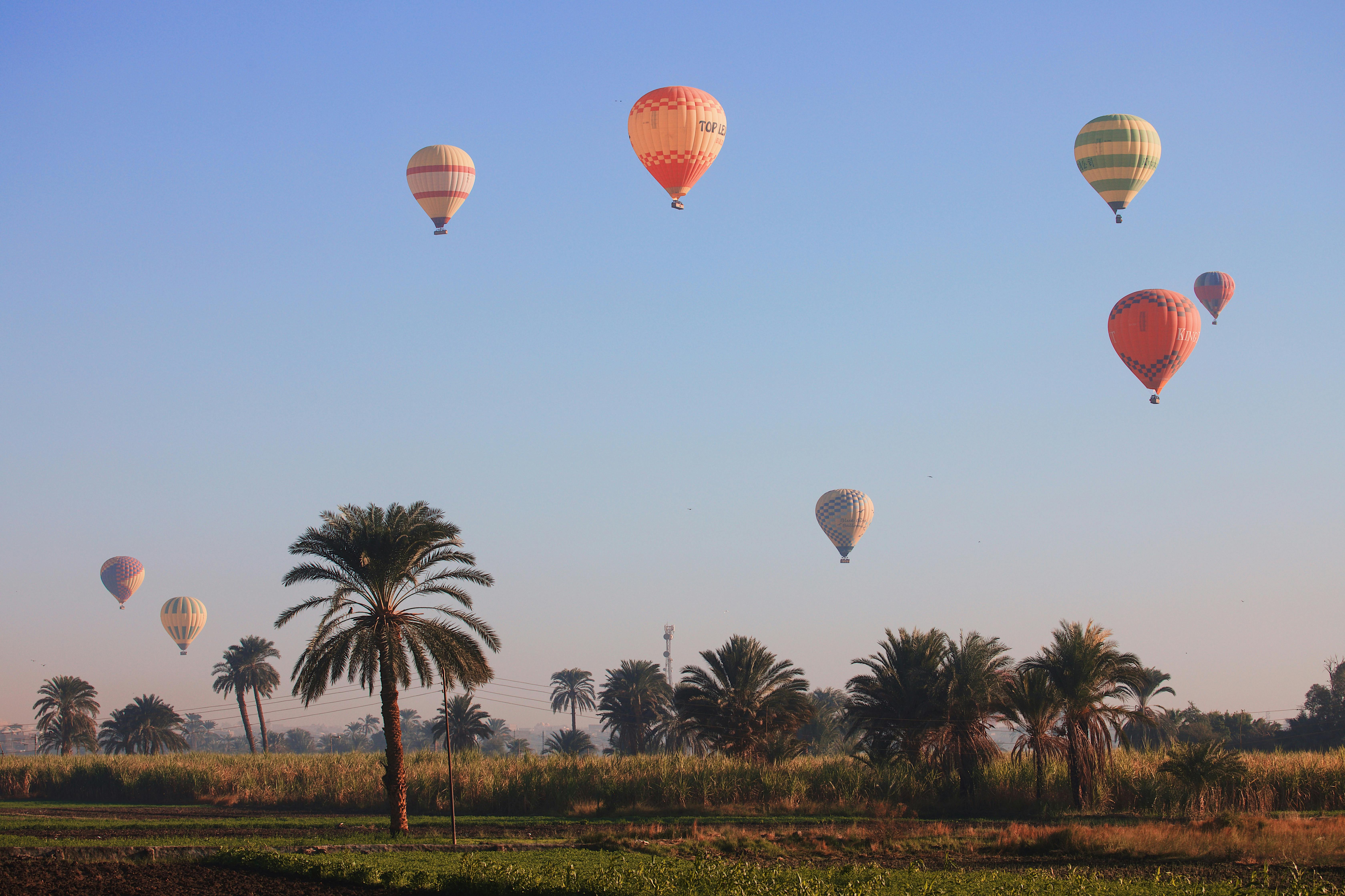 hot air balloon ride over Nile River fields, wide open landscape setting, people present as small silhouettes, dawn light.