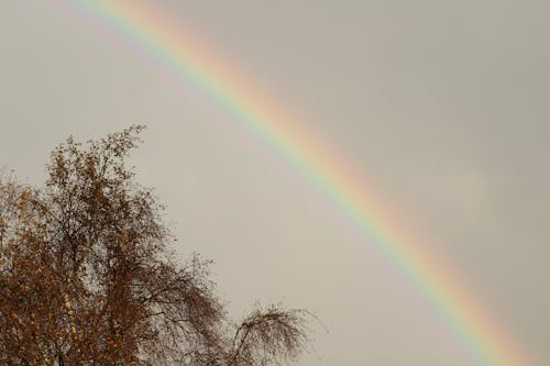 Gratis stockfoto met regenboog