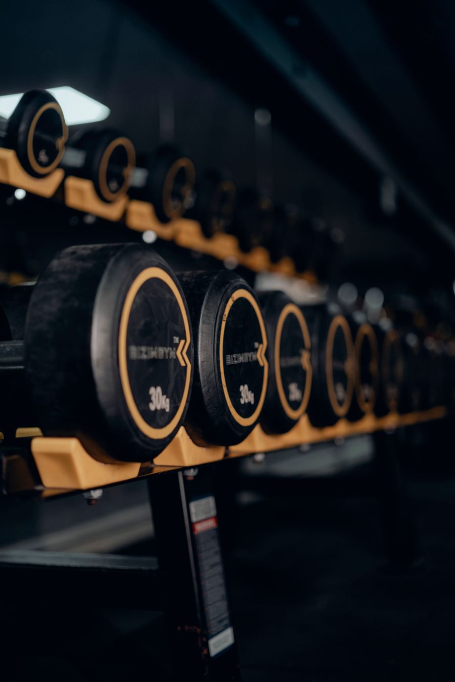 Rows of dumbbells in a dimly lit gym