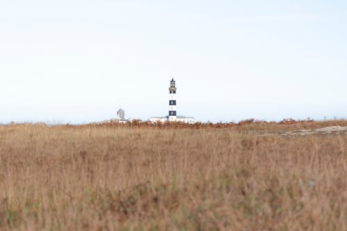 タワー, ナビゲーション, フィールドの無料の写真素材