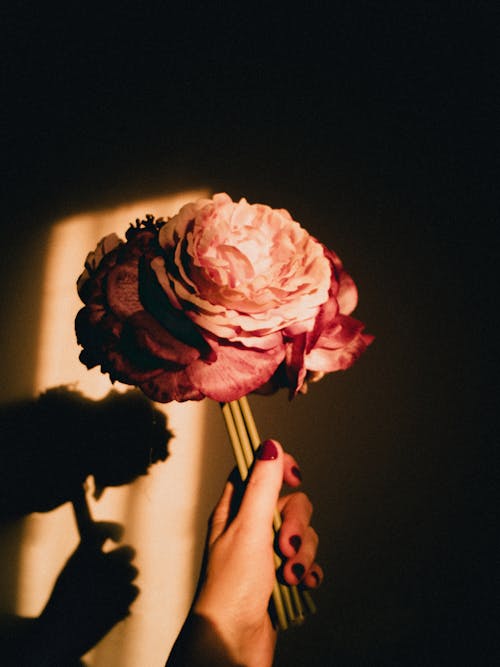 Immagine gratuita di donna, fiori, luce del sole