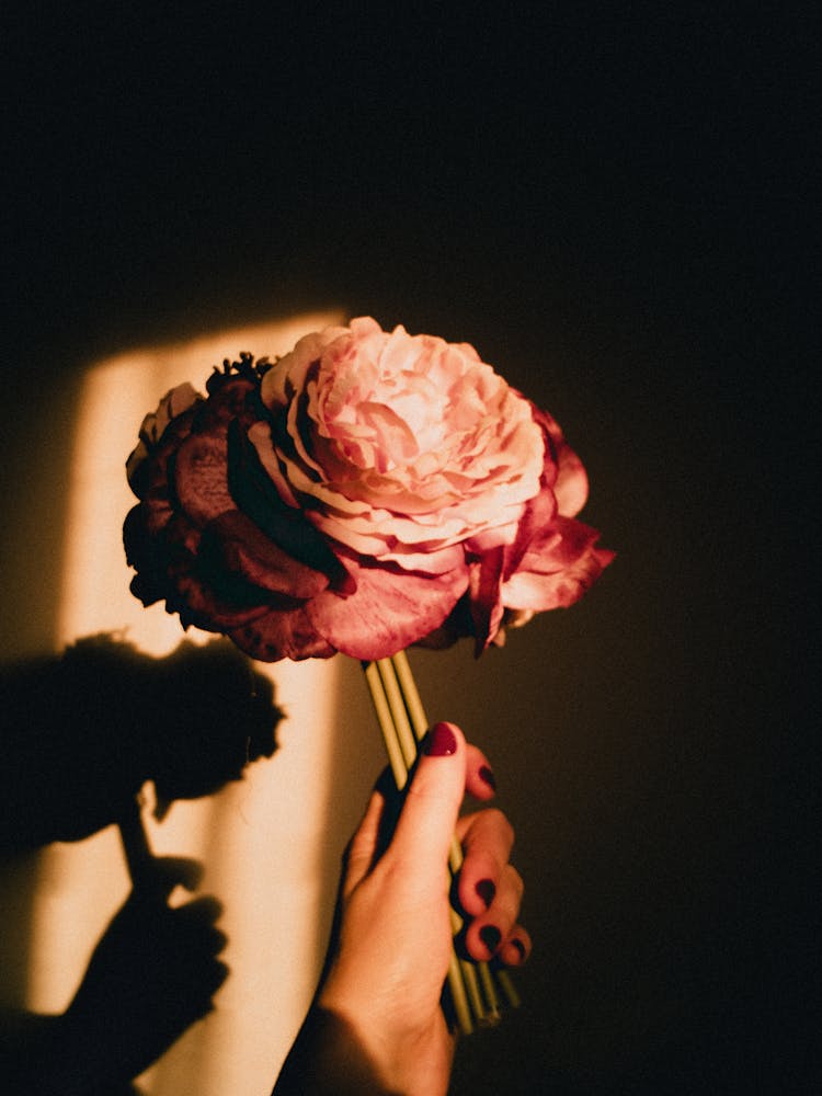 Woman Holding Flowers