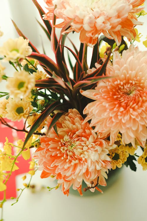 Foto stok gratis buket, bunga-bunga, Daun-daun