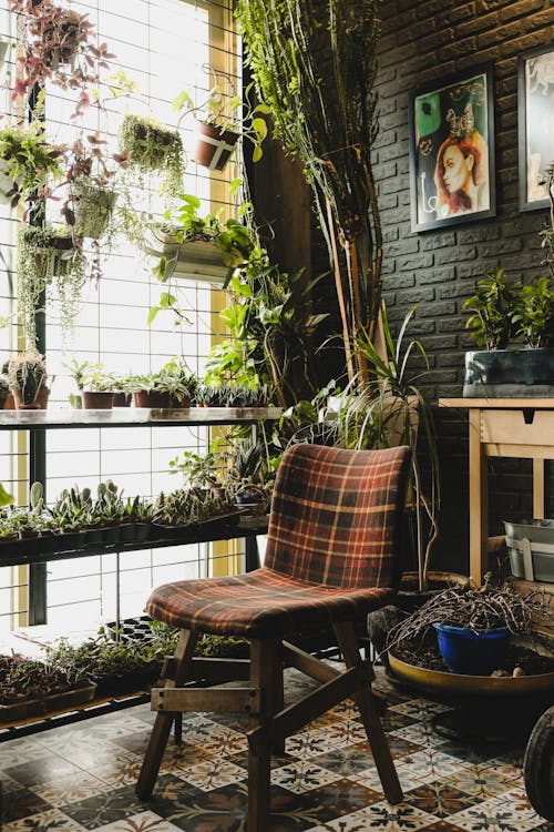 A Chair Standing in a Room Filled with Houseplants 