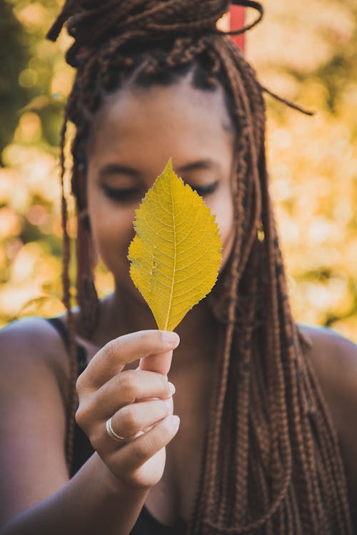 Fotobanka s bezplatnými fotkami na tému bokeh, držanie, exteriéry