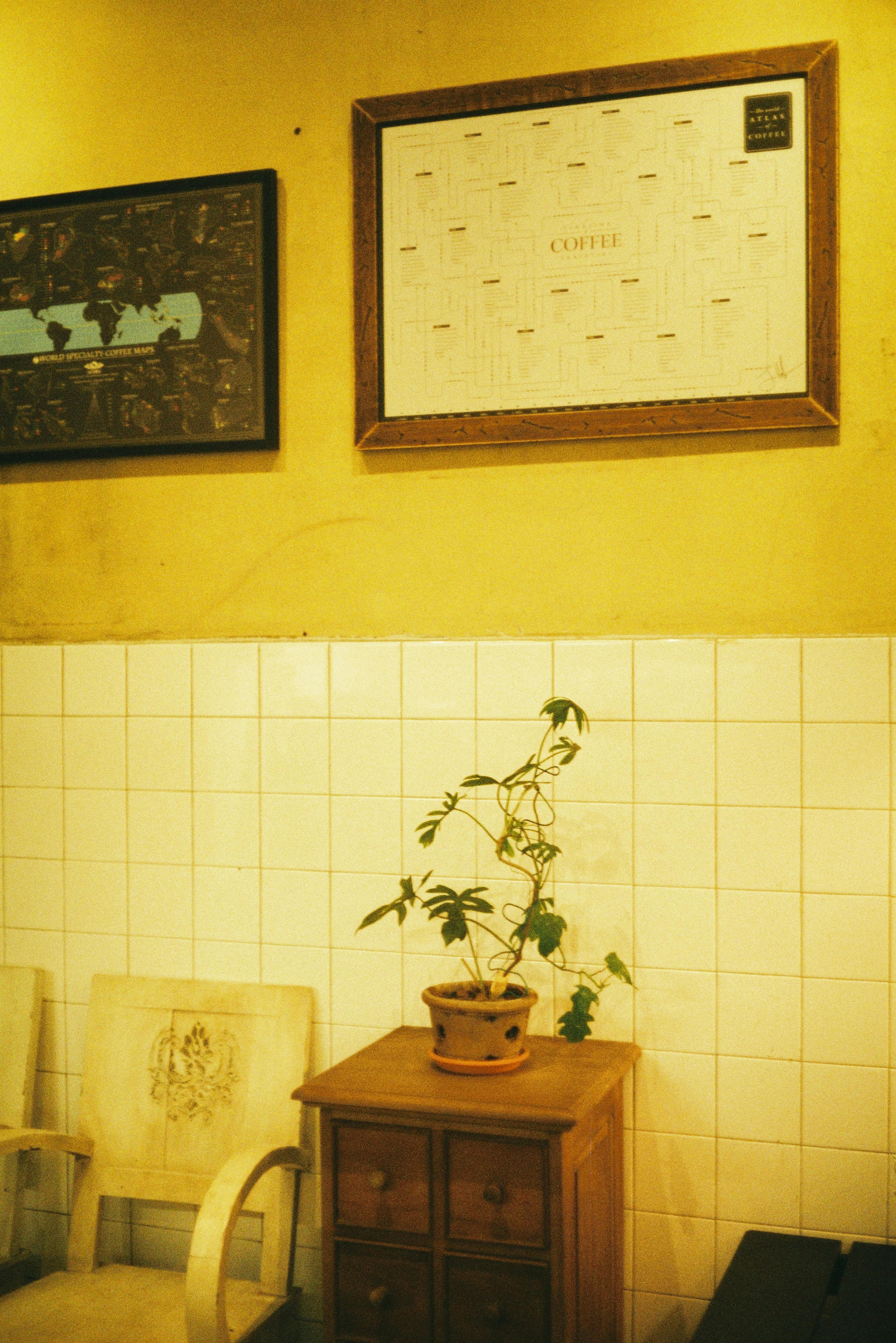 Gratis stockfoto met #binnen, aesthetisch, artistieke muur Stockfoto