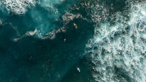 Top View of People Surfing in the Ocean 