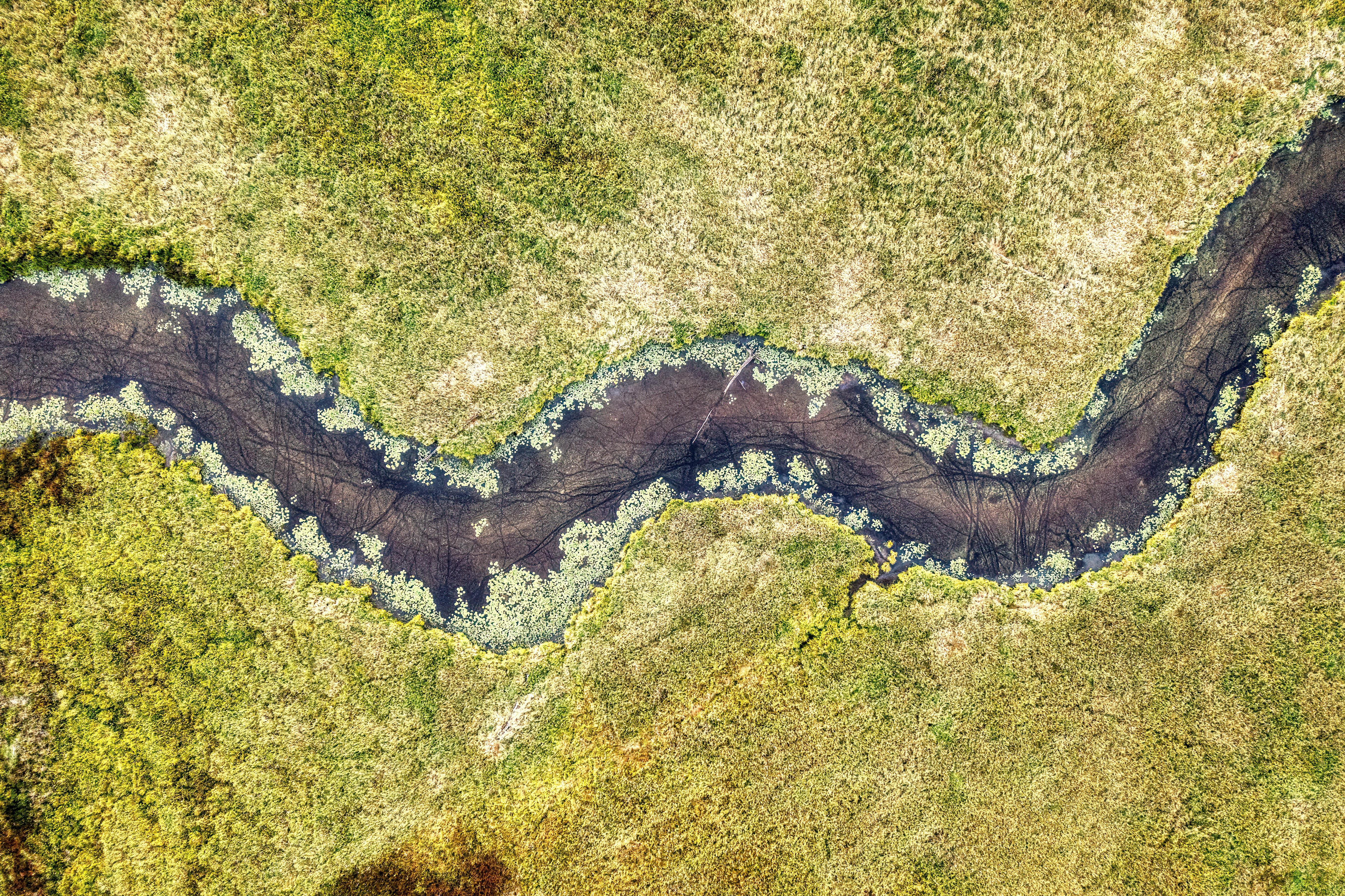 New Pajaro River Watershed Plan targets climate resilience across four counties. — Photo by Tom Fisk on Pexels