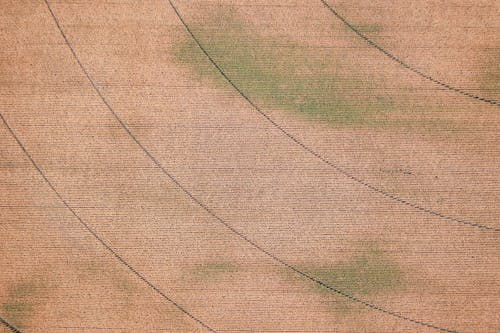 Darmowe zdjęcie z galerii z chropowaty, krzywe, linie