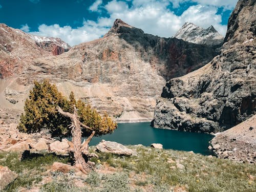 Foto d'estoc gratuïta de aigua, corrent, llac