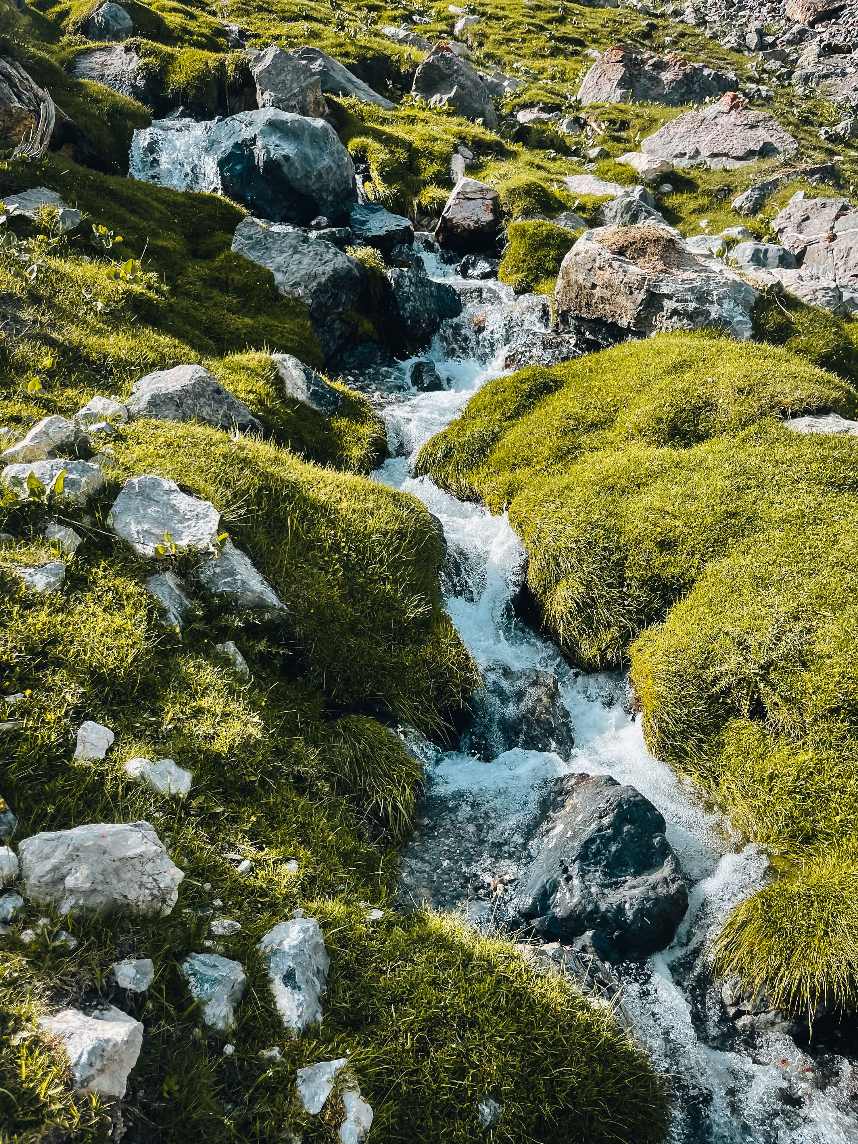 Stream Among Rocks Covered with Moss · Free Stock Photo
