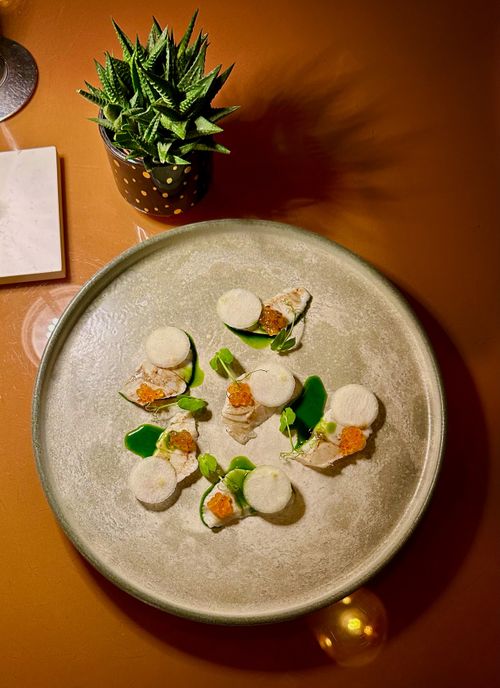 Free Elegant gourmet dish with delicate plating on an orange backdrop next to a potted succulent. Stock Photo