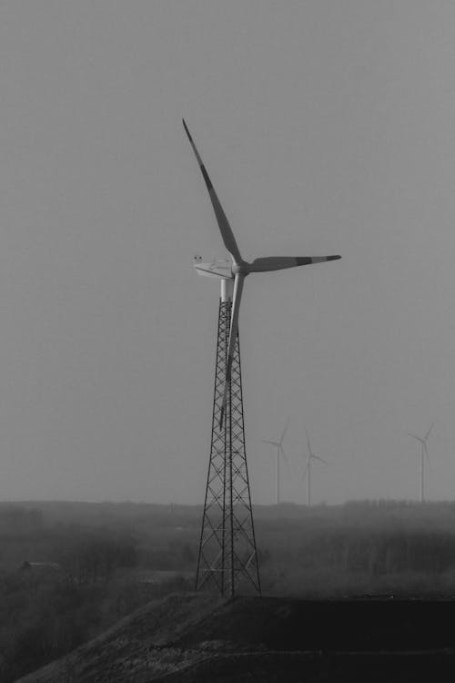 Wind Turbine in a Field
