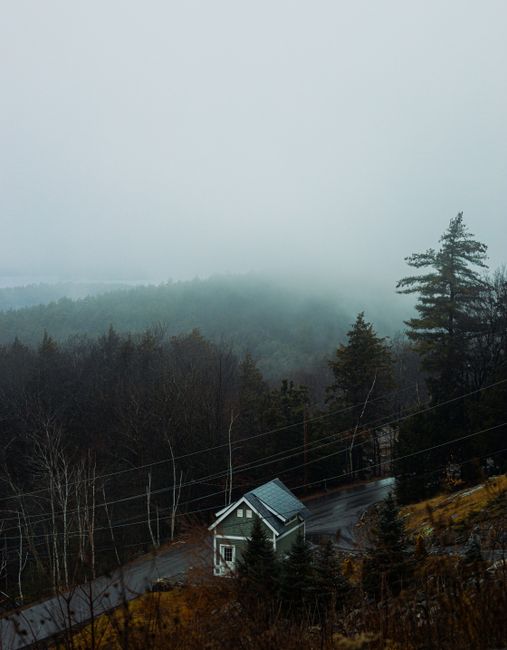 A serene scene of a small cabin surrounded by misty trees and foggy weather.