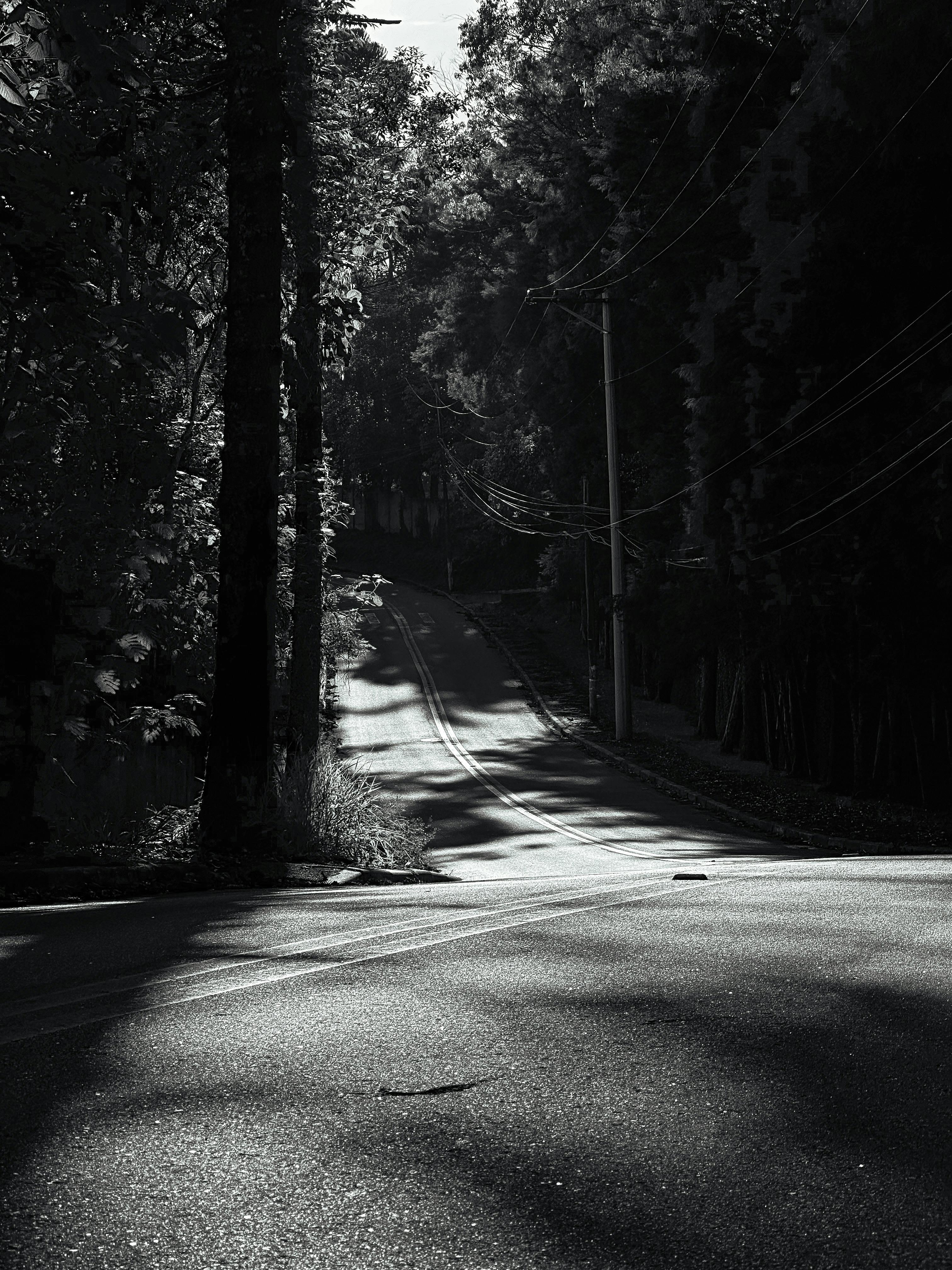 free-photo-of-a-road-in-a-
