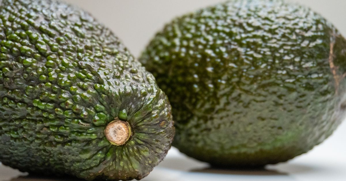 Detailed close-up of two fresh avocados on a white surface, showcasing texture and healthy green color. - Evidence evidence guide for avocado skin health meta-analysis