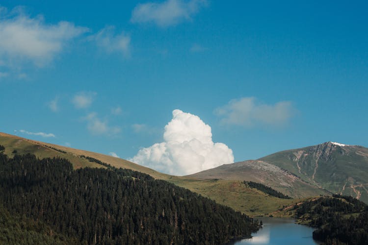 Forest On Hill And Lake Below