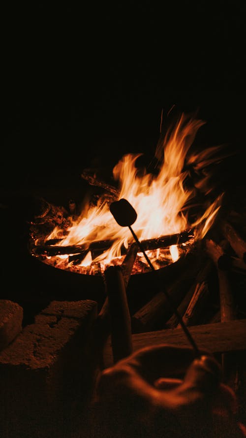 Foto stok gratis api, malam, marshmallow