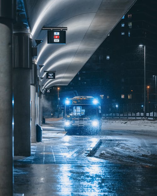 Základová fotografie zdarma na téma autobus, města, město