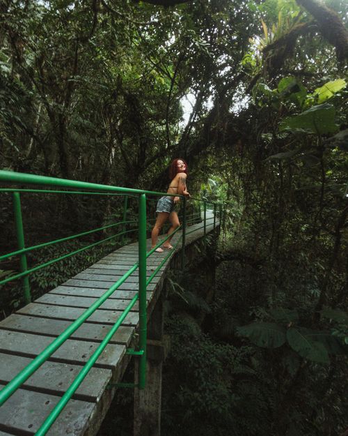 Free Woman confidently leaning against railing on forest bridge, surrounded by lush greenery in summer. Stock Photo