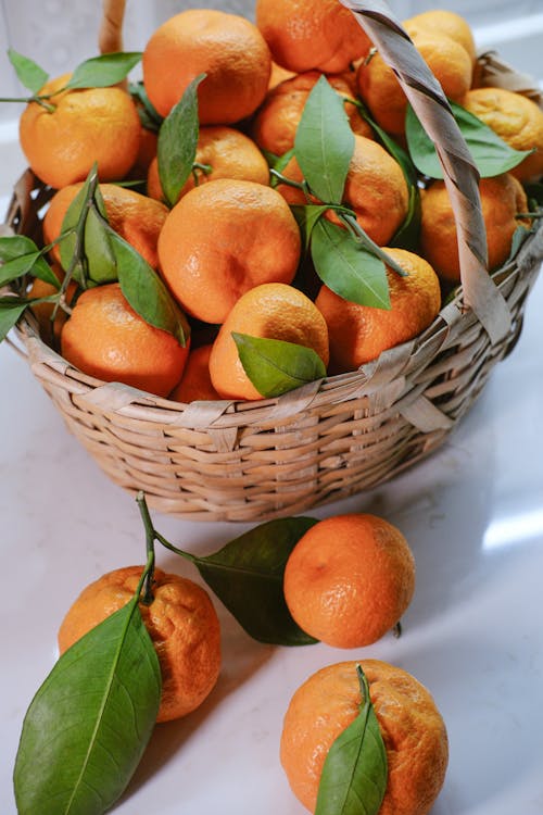 Gratis arkivbilde med frukt, kurv, mandariner