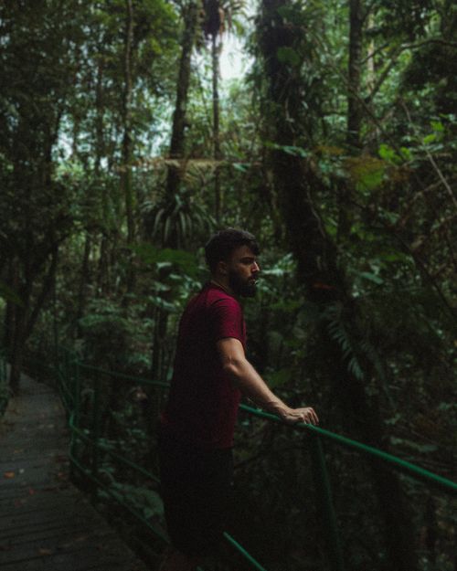 Free A man stands on a bright walkway, immersed in a tropical forest's natural beauty. Stock Photo