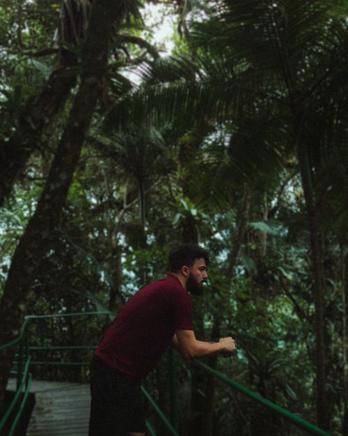 Free A man in a t-shirt leans on a railing while exploring a lush tropical forest boardwalk. Stock Photo