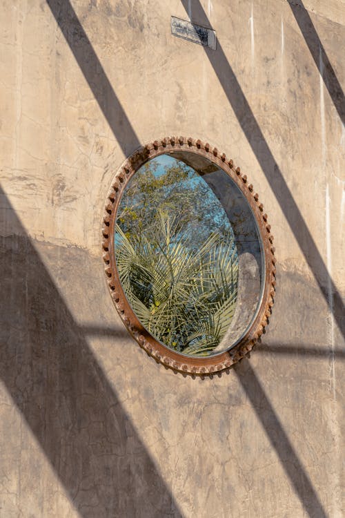 Darmowe zdjęcie z galerii z kamień, liście, mur
