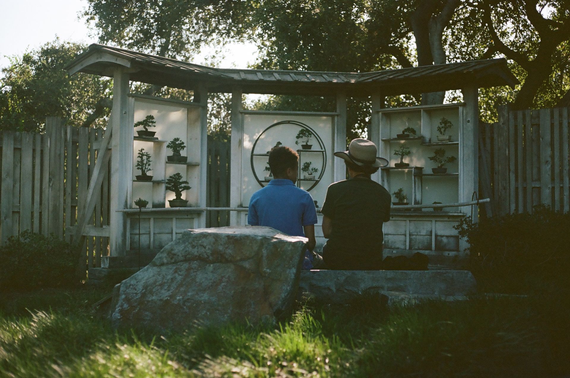 Two people sitting in a tranquil garden, enjoying bonsai display under the warm daylight.