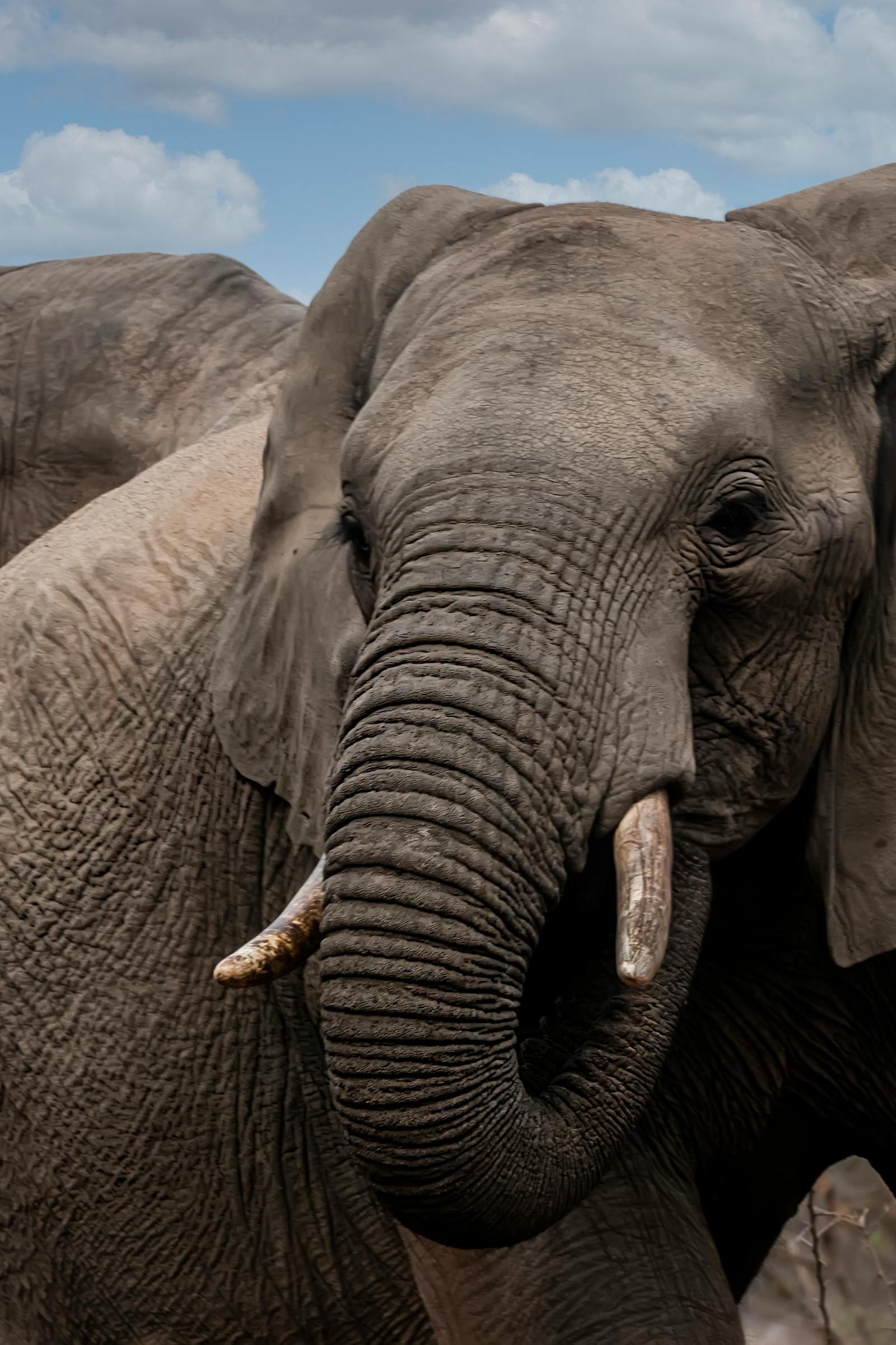 AgriGlobal branding transformation