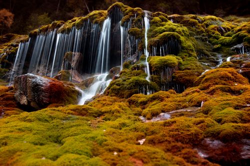 Free A tranquil waterfall cascading over lush moss-covered rocks in a vibrant autumn setting. Stock Photo