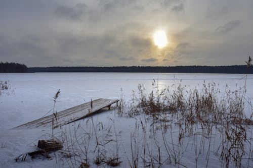一月, 冬天的太阳, 冬季 的 免费素材图片