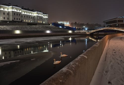 冬季, 冬季城市, 城市摄影 的 免费素材图片