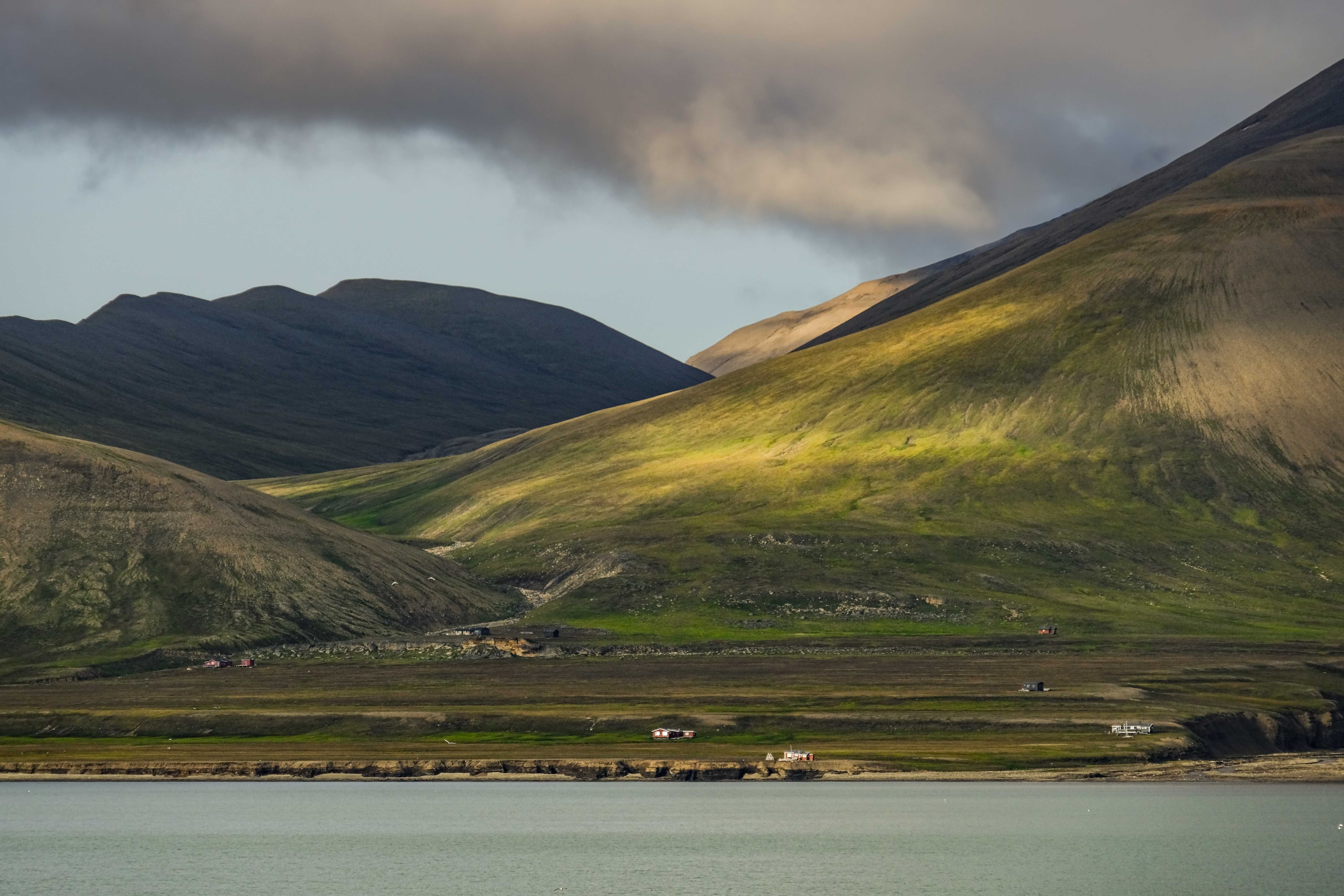 Explore the serene beauty of coastal mountains with lush greenery and dramatic lighting.