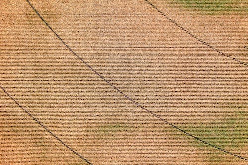 Darmowe zdjęcie z galerii z fotografia lotnicza, pole, rolnictwo