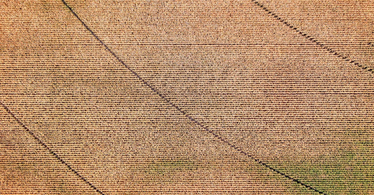 Agricultural Field Texture · Free Stock Photo