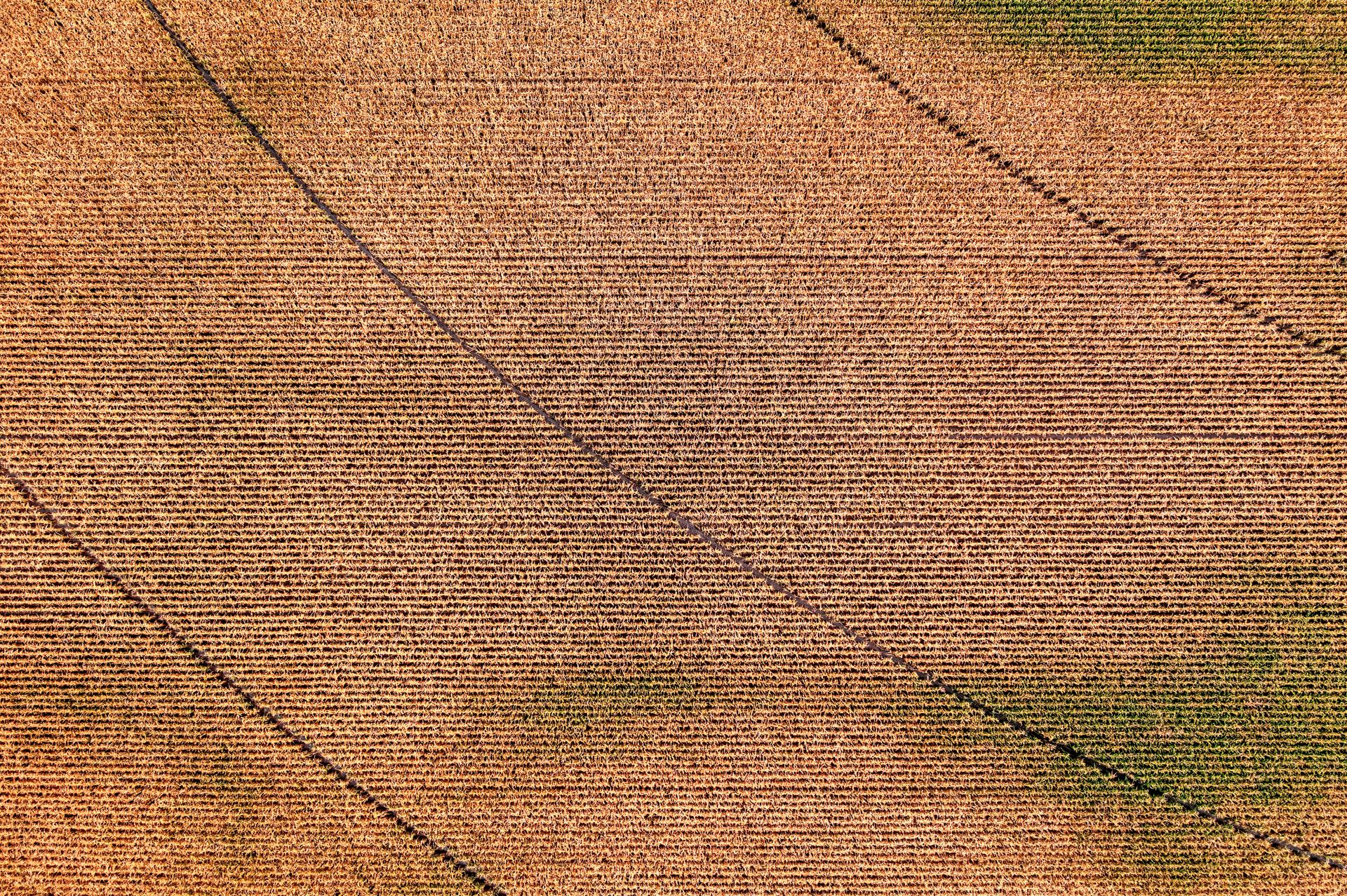 Aerial view of patterned cropland in rural Wisconsin, showcasing agricultural textures and harvest season.