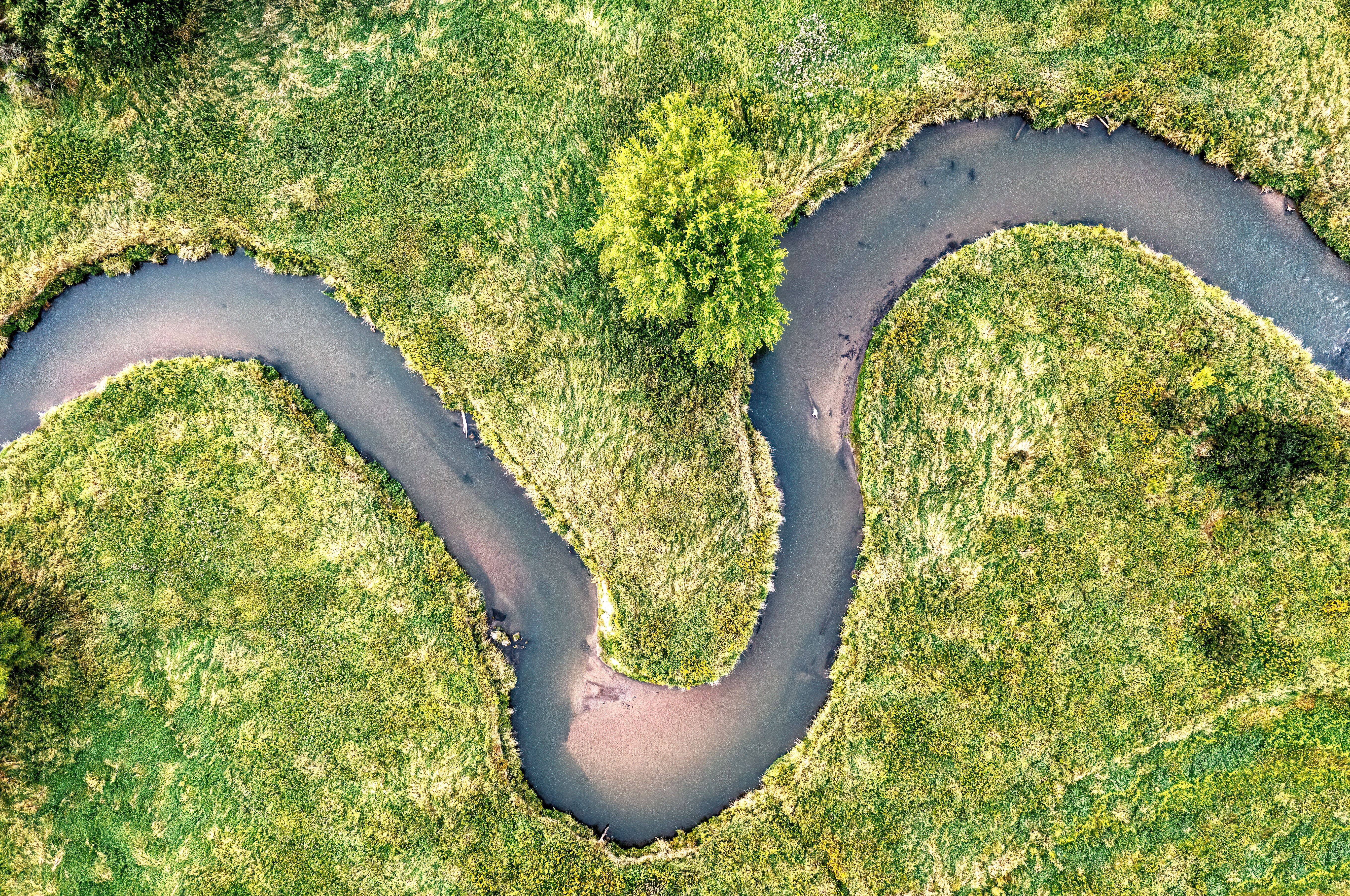 corporate governance esg good governance esg — Photo by Tom Fisk on Pexels