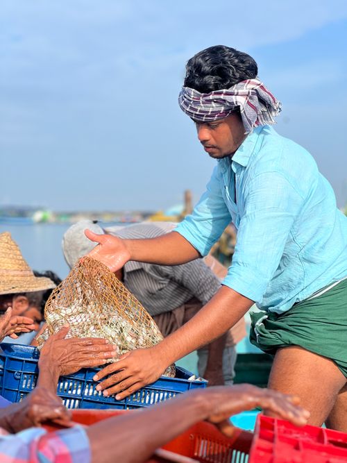Free Fishermen working together to sort the catch at a busy harbor, showcasing teamwork and culture. Stock Photo
