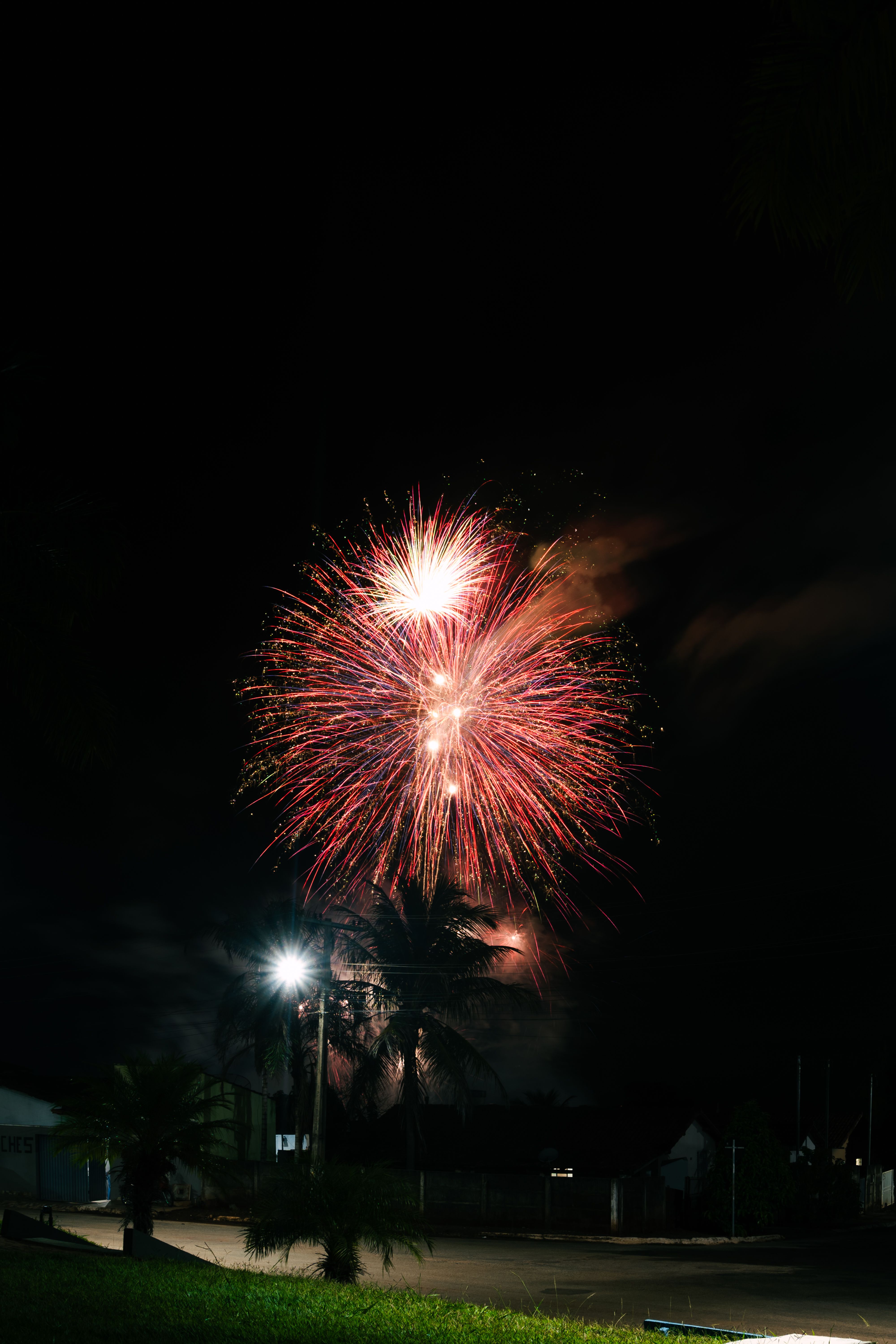 A Firework Display at Night · Free Stock Photo