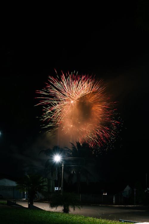 Fireworks Display in Night Sky